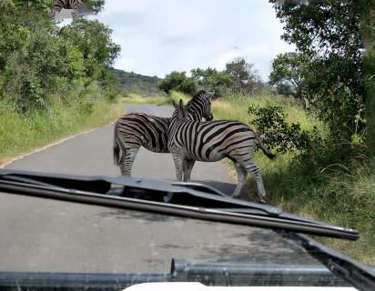 Pilanesberg Nationalpark