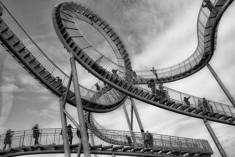 Tiger&Turtle