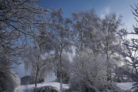 52 Winterbild_Arno_Kratky