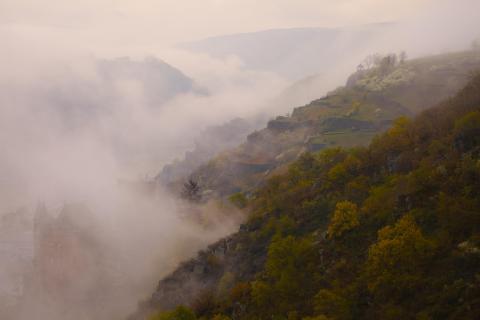 39 Herbst im Nebel_Jürgen_Fischer