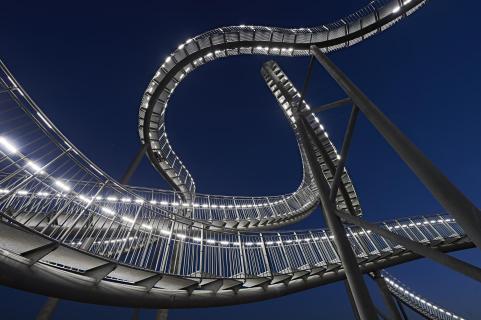 Tiger & Turtle