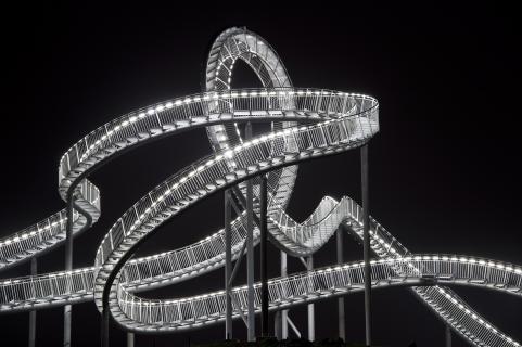 Tiger & Turtle