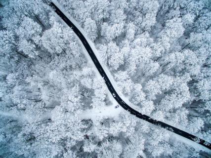 Street through the-winter-forest