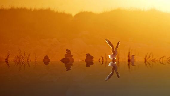 27_Nicht- im- Fokus_Eurofoto