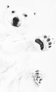 15_Belichten-sie- bewusst-ueber_Eurofoto