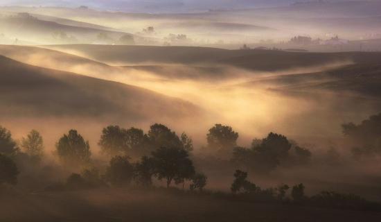 39_Herbst-im-Nebel_Eurofoto