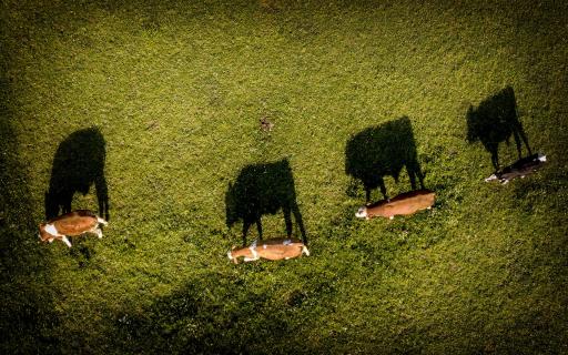 30_Spiel-mit-Licht-und-Schatten_Eurofoto