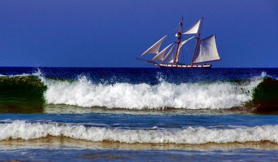 Am Meer