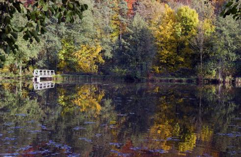 Herbst am See