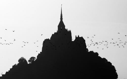 Nächtliche Silhouette
