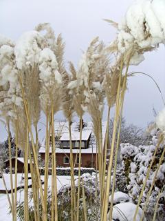 Durchblick zum Nachbarn