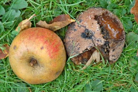 alles ist vergänglich