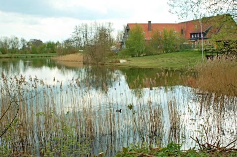 Landschaft im Münsterland