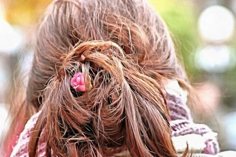 versteckte Rose
