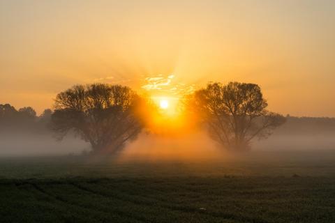 39_Herbst_im_Nebel_Dominika_Elsner