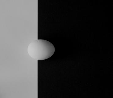 The Egg