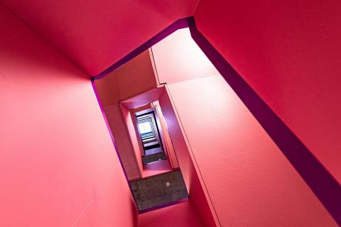 Pink Stairs