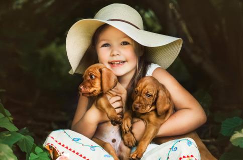 Puppy love