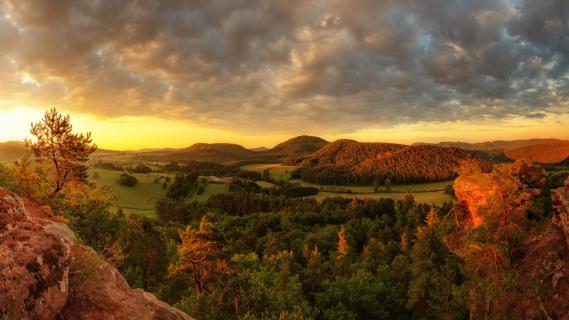 Sprinzelfelsen, Pfälzerwald 