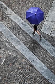 Umbrella