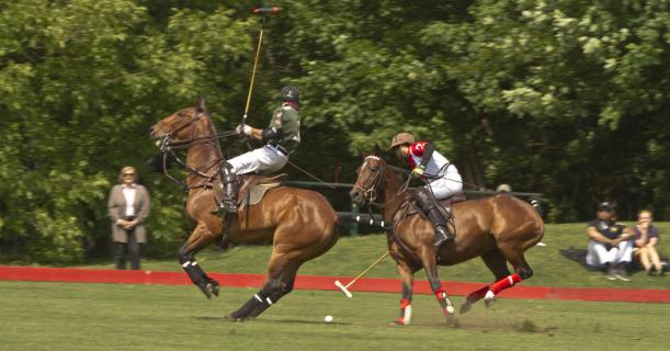 Polo