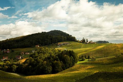 Reise in die Steiermark