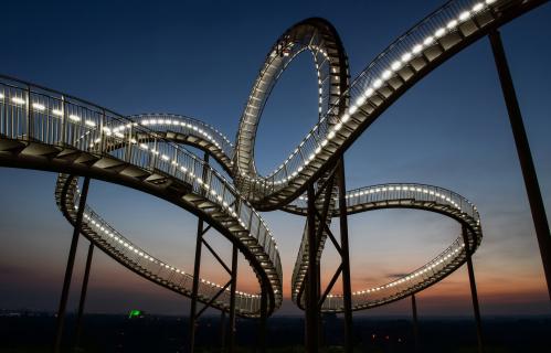 Tiger & Turtle