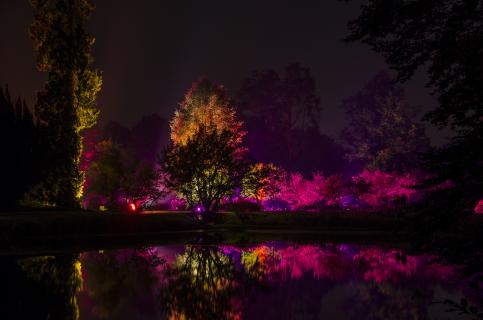 Lichter im Schlosspark