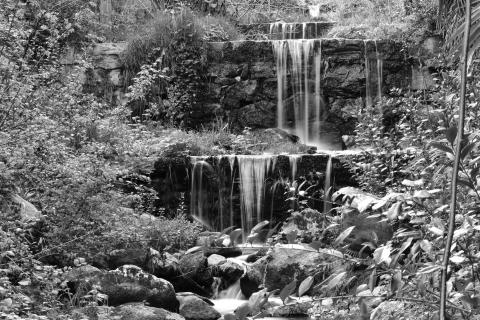 Falling Water