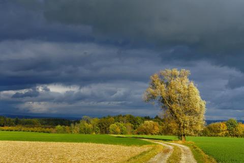 Herbstlandschaft