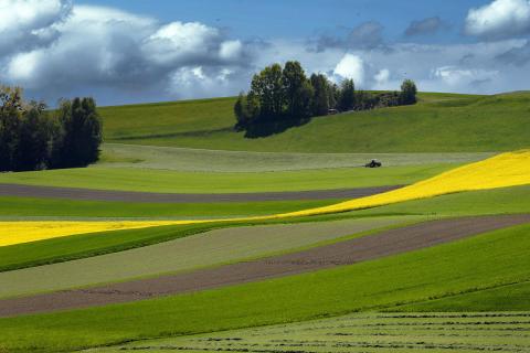 Wiesen und Feldstrukturen