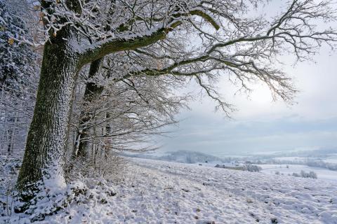 Winterlandschaft