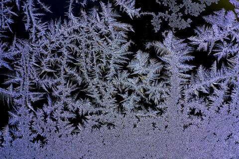 Eisblumen