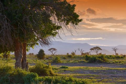 Amboseli Nationalpark