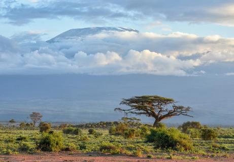 Kilimanjaro