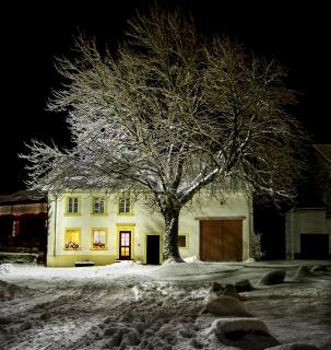 Winterwonderland