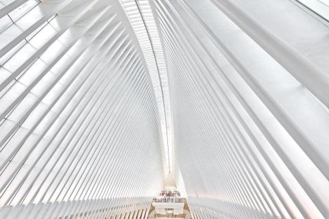 The Oculus