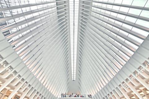 The Oculus