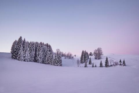 Die Ruhe des Winters