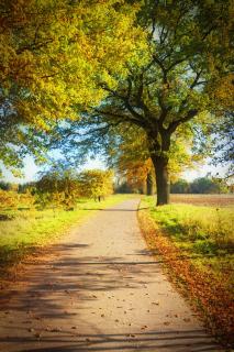 Herbstspaziergang