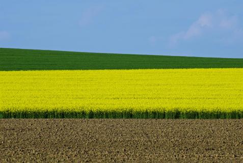 bunter Frühling