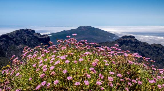 La Palma - Roque de los Muchachos