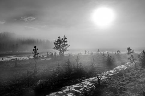 Nebel