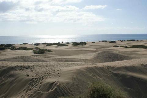 Dünen Maspalomas