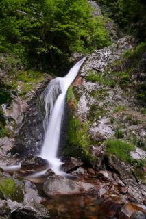 Allerheiligen Wasserfall Schwarzwald