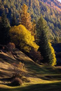 Herbstliche Vielfalt