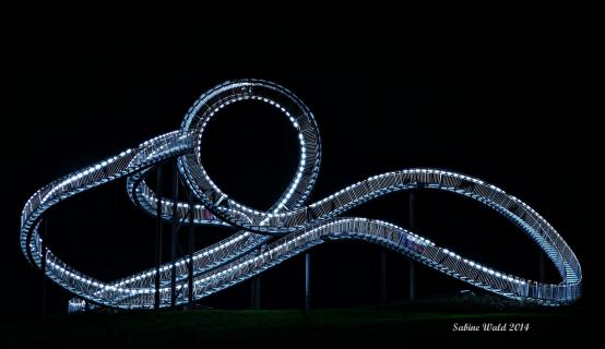 Tiger & Turtle