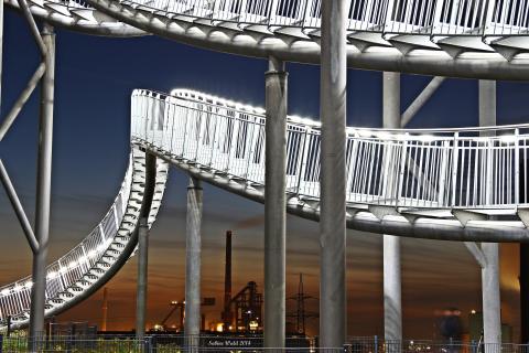 Tiger & Turtle