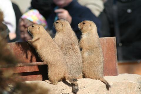 Die Besucher sind da