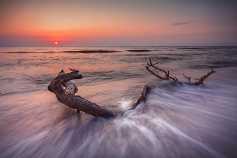 Weststrand Fischland Darß/Zingst